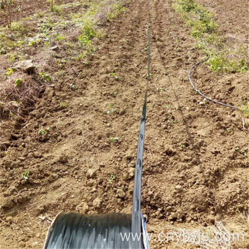 Vegetable Greenhouse Drip Irrigation Zone